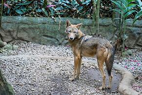 The Springs Resort and Spa at Arenal