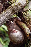 The Springs Resort and Spa at Arenal