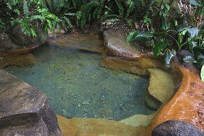 The Springs Resort and Spa at Arenal