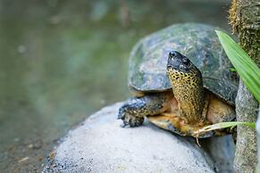 The Springs Resort and Spa at Arenal