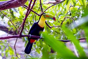 The Springs Resort and Spa at Arenal