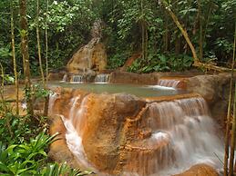 The Springs Resort and Spa at Arenal