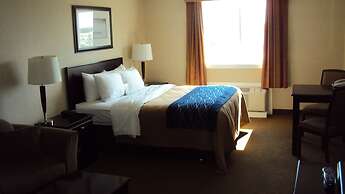 Comfort Inn And Suites Edson