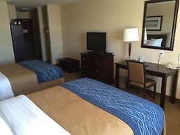 Comfort Inn And Suites Edson