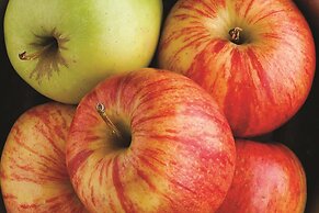 La Quinta Inn & Suites by Wyndham Rome