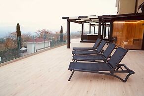 Hotel Lemi