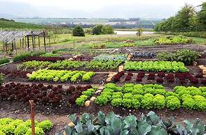 Asara Wine Estate & Hotel