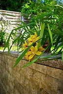 Hotel Alpenblick Garni