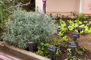 Los Amigos Beach Club