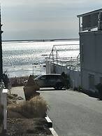 Prince Albert Provincetown