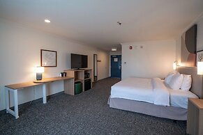 Spark by Hilton Brandon