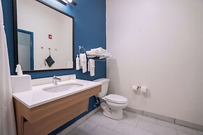 Spark by Hilton Brandon