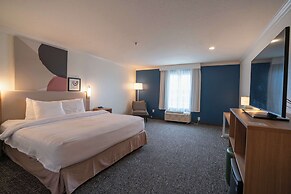 Spark by Hilton Brandon