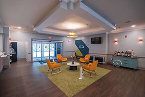 Spark by Hilton Brandon