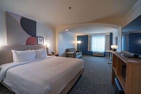 Spark by Hilton Brandon