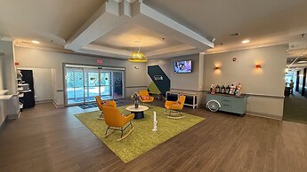 Spark by Hilton Brandon