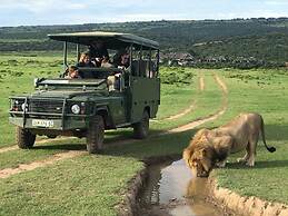 Pumba Private Game Reserve