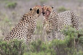 Pumba Private Game Reserve