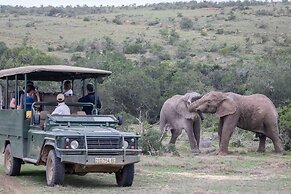 Pumba Private Game Reserve