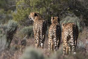 Pumba Private Game Reserve