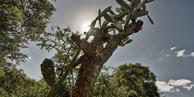 Pumba Private Game Reserve