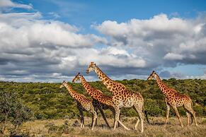 Pumba Private Game Reserve