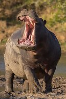 Pumba Private Game Reserve