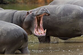 Pumba Private Game Reserve