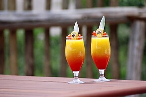 Pumba Private Game Reserve