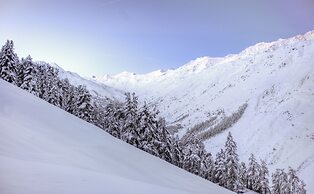 Hotel Alpenland