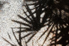 Red Ginger Chic Resort