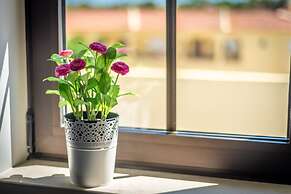 Novochoro Apartments