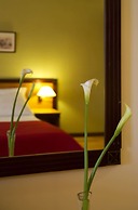 Quinta Bela Sao Tiago