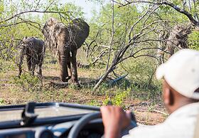 Aha Makalali Private Game Reserve