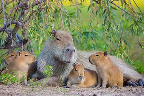 Puerto Valle Hotel de Esteros