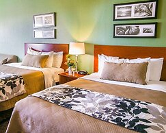 Sleep Inn & Suites Gonzales near Palmetto State Park