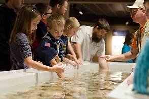 Candlewood Suites Lake Jackson Clute by IHG