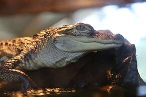 Courtyard by Marriott Mobile Daphne/Eastern Shore