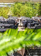 Hotel Les Palmiers