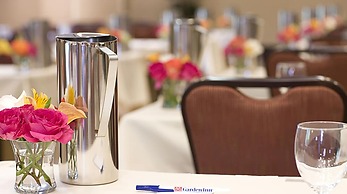 Hilton Garden Inn Minneapolis Downtown