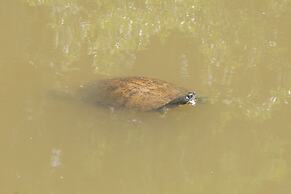 Fairfield Inn & Suites by Marriott Mobile Daphne/ E Shore