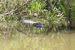 Fairfield Inn & Suites by Marriott Mobile Daphne/ E Shore