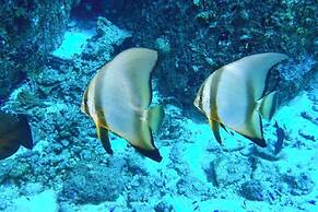 La Digue Island Lodge