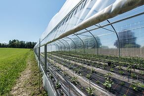 Schlossgut Oberambach BioHotel und Vitalzentrum