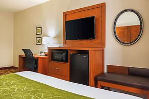 Comfort Suites Lake Charles