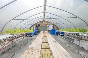 Omni Amelia Island Resort & Spa