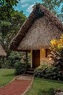 Picocanoa Rodavento