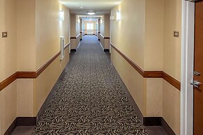 Comfort Inn & Suites Thatcher - Safford