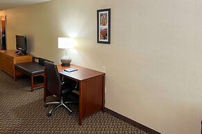 Comfort Inn & Suites Thatcher - Safford