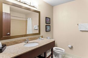 Comfort Suites Grayslake near Libertyville North